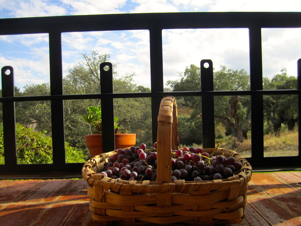 Apartamento Rurales La Macera ****