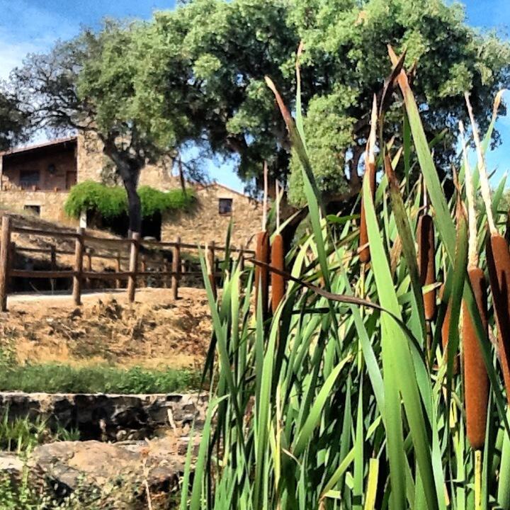 Rurales La Macera ****