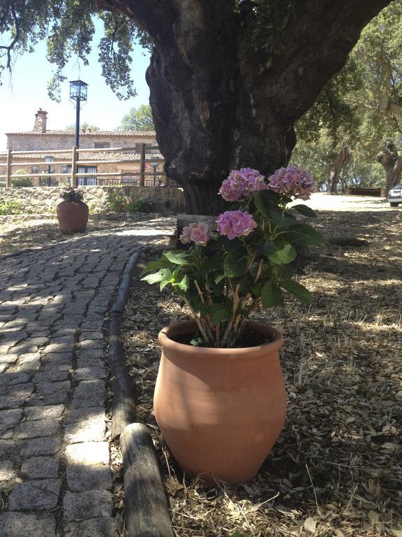 Apartamento Rurales La Macera **** *