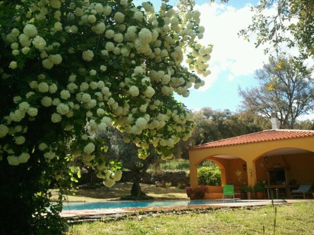 Apartamento Rurales La Macera **** Valencia de Alcántara